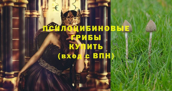 меф Горнозаводск