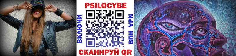блэк спрут закладка Дмитровск Псилоцибиновые грибы MAGIC MUSHROOMS